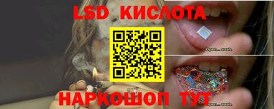 эйфоретик Бузулук