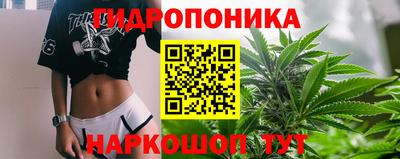 jwh Будённовск