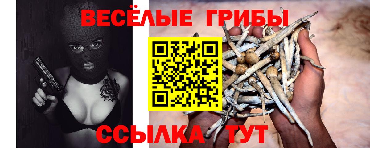 Псилоцибиновые грибы MAGIC MUSHROOMS Чебаркуль