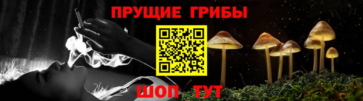 Чебаркуль  Псилоцибиновые грибы Magic Shrooms  купить наркотики сайты  Вход с VPN 